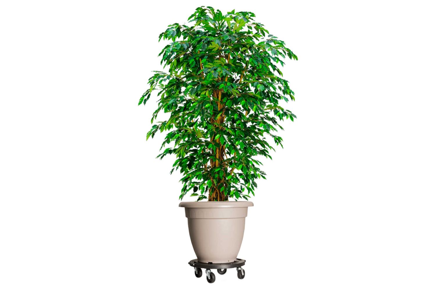 Vidaxl Plant Trolleys With Wheels 3 Pcs Diameter 40 Cm Black 275 Kg