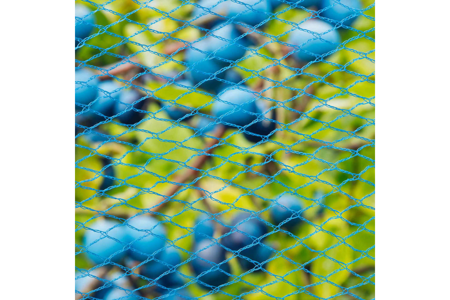 Nature 423501 Bird Netting Nano 5x4 M Blue