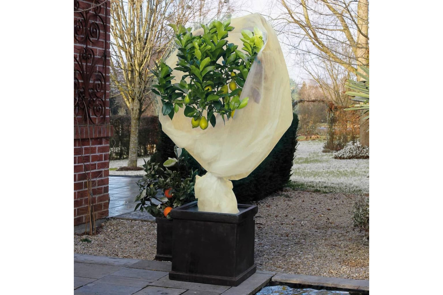 Nature 407092 Winter Fleece Cover 60 G/sqm Beige 2x5 M