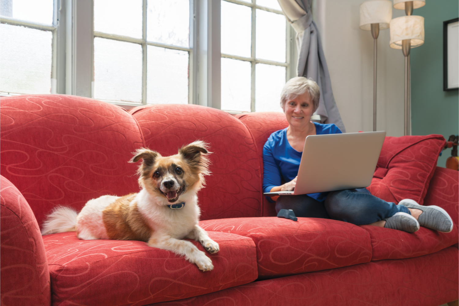 Petsafe PDT19-16032 100m Lite Remote Trainer