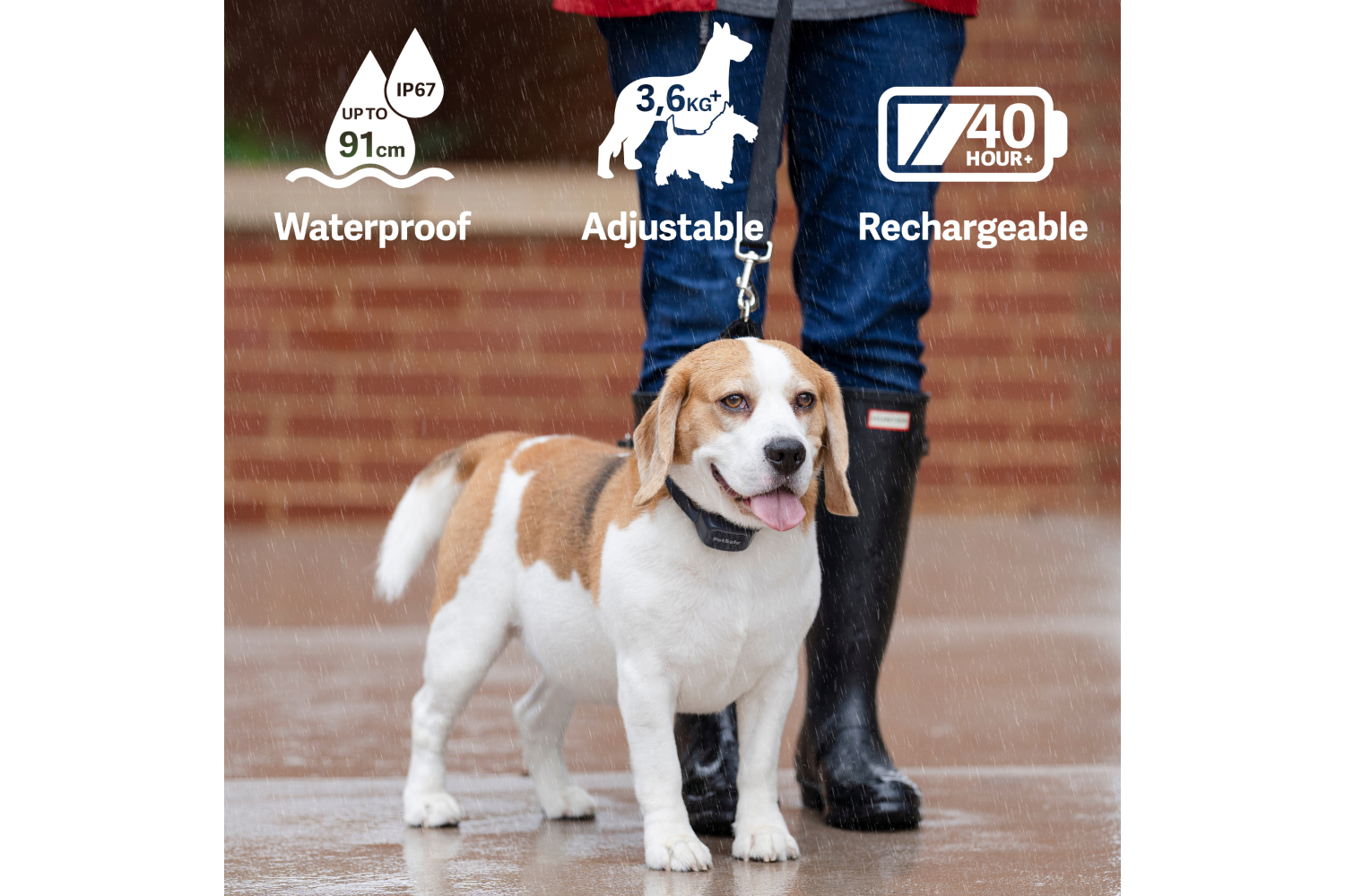 Petsafe PBC19-17283 Audible Bark Collar