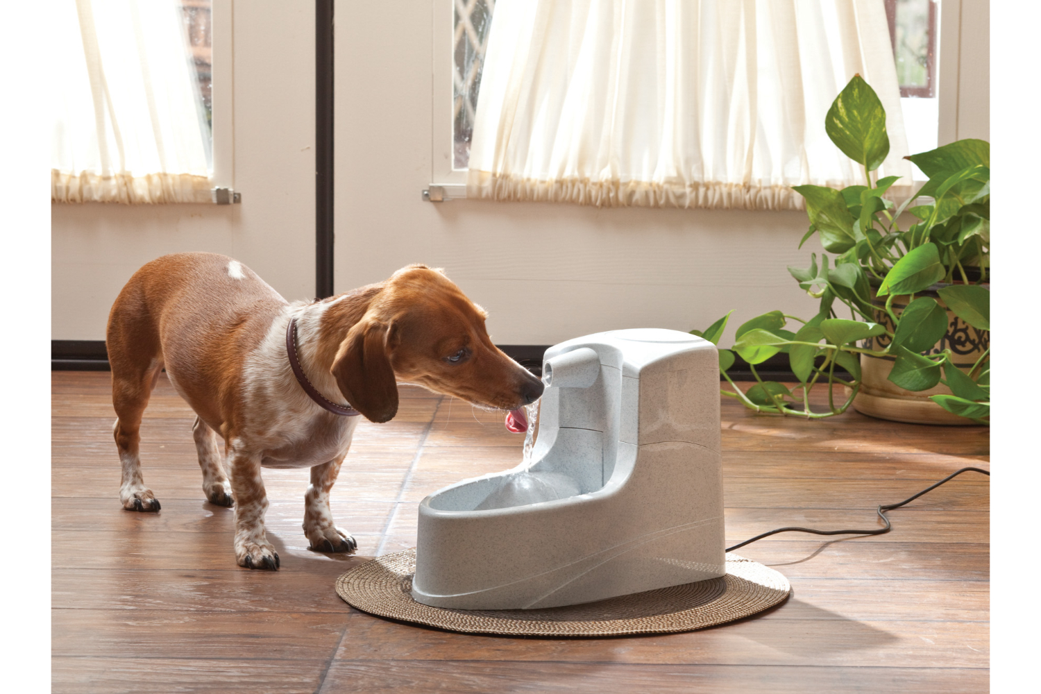 Petsafe MINI-UK-17 Drinkwell Mini Pet Fountain | 1.2 Litre