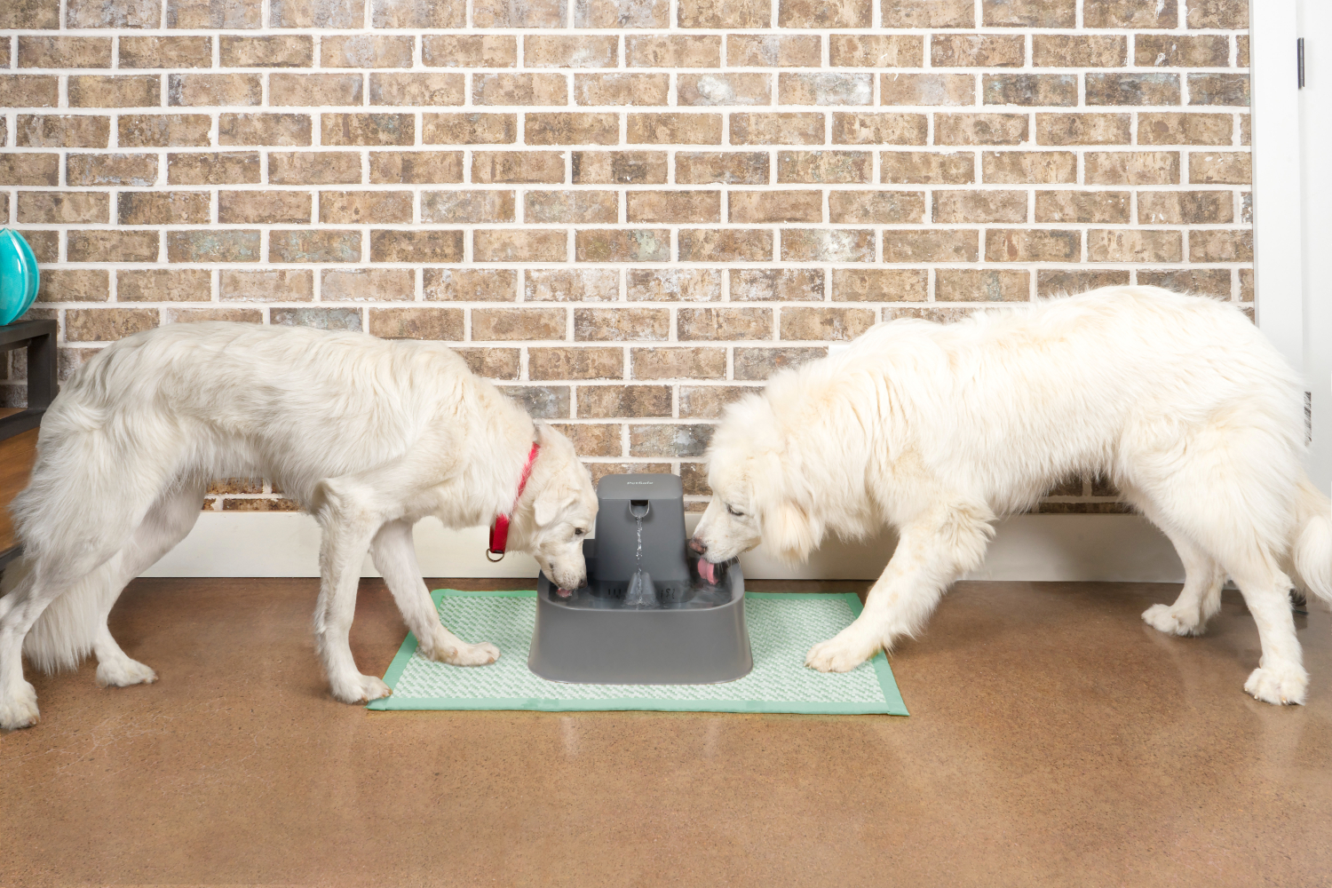 Petsafe PWW17-16561 Drinkwell Pet Fountain | 7.5 Litre