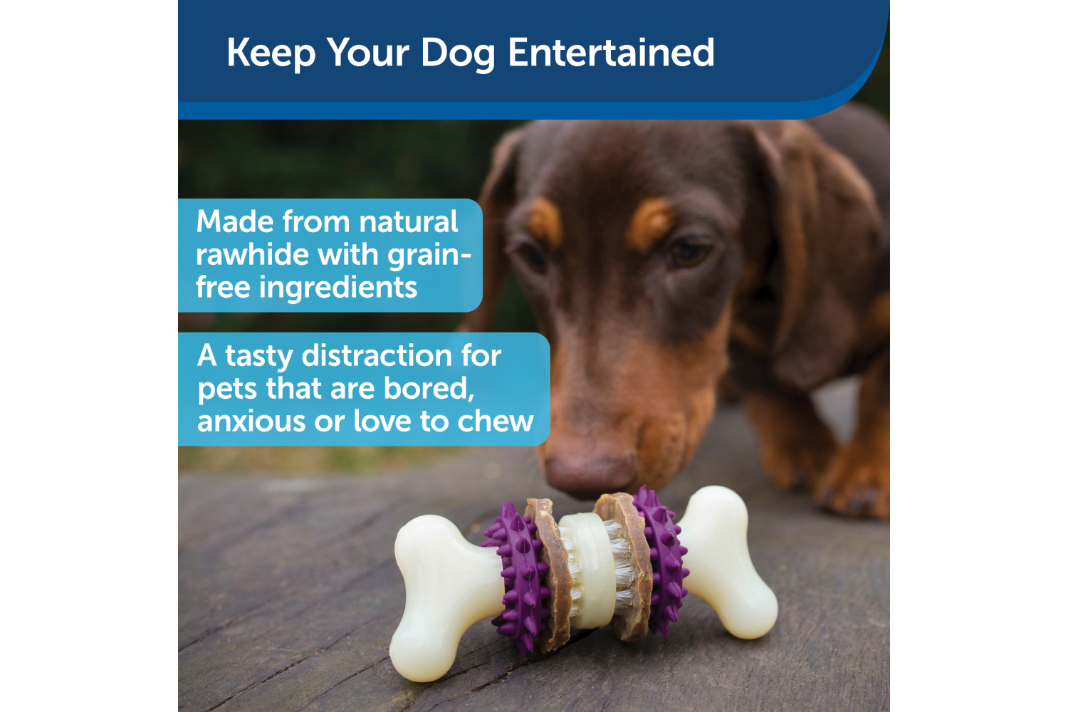 Petsafe BB-BRI-BN-M-11 Busy Buddy Bristle Bone | Medium