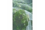 Nature 403682 Anti-insect Net Against Codling Moth 6030450