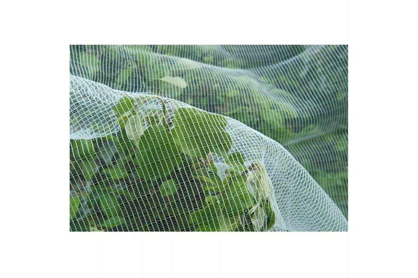 Nature 403682 Anti-insect Net Against Codling Moth 6030450