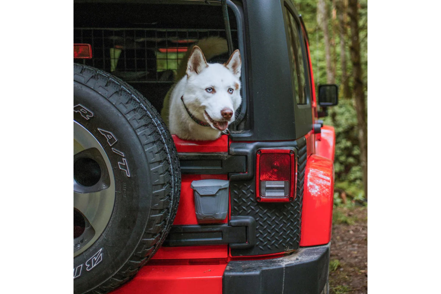 Kurgo tailgate outlet dumpster