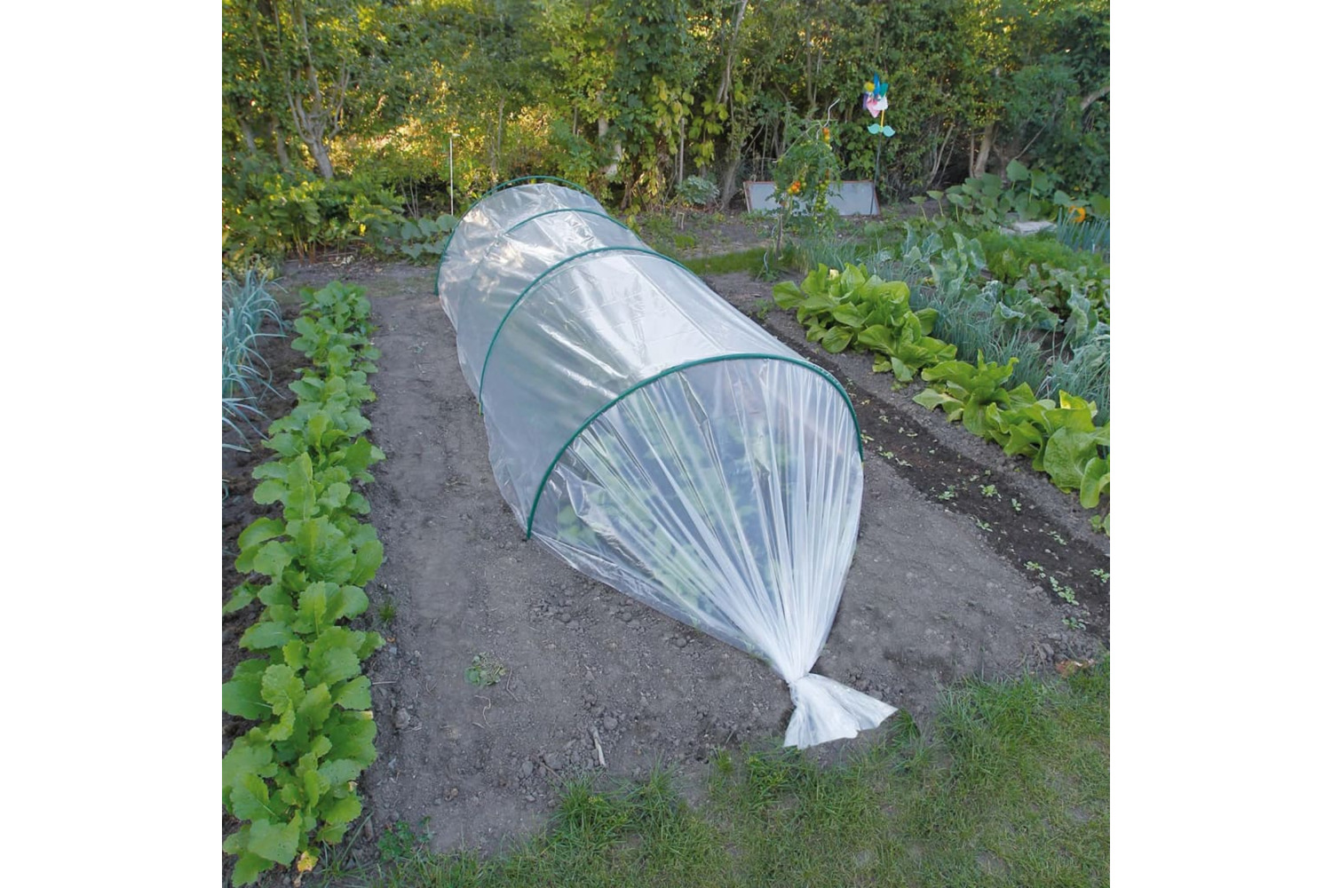 Nature 446378 Plant Cover 3x4 M 100âµ Transparent