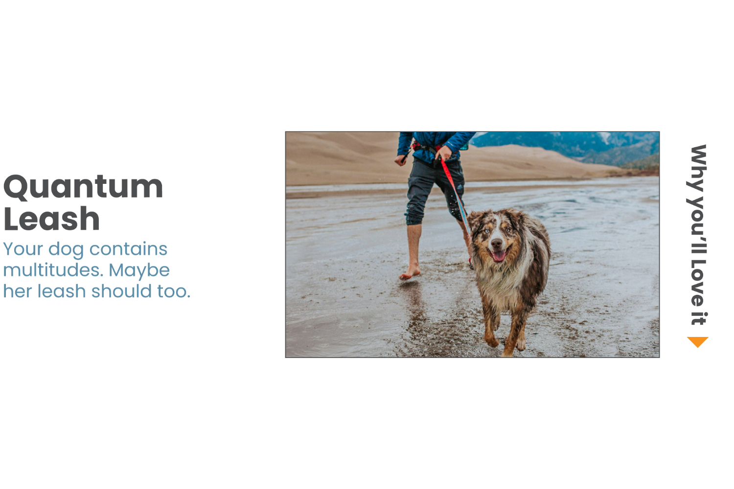 Kurgo KO3502 Quantum Leash Reflect & Protect | Blue