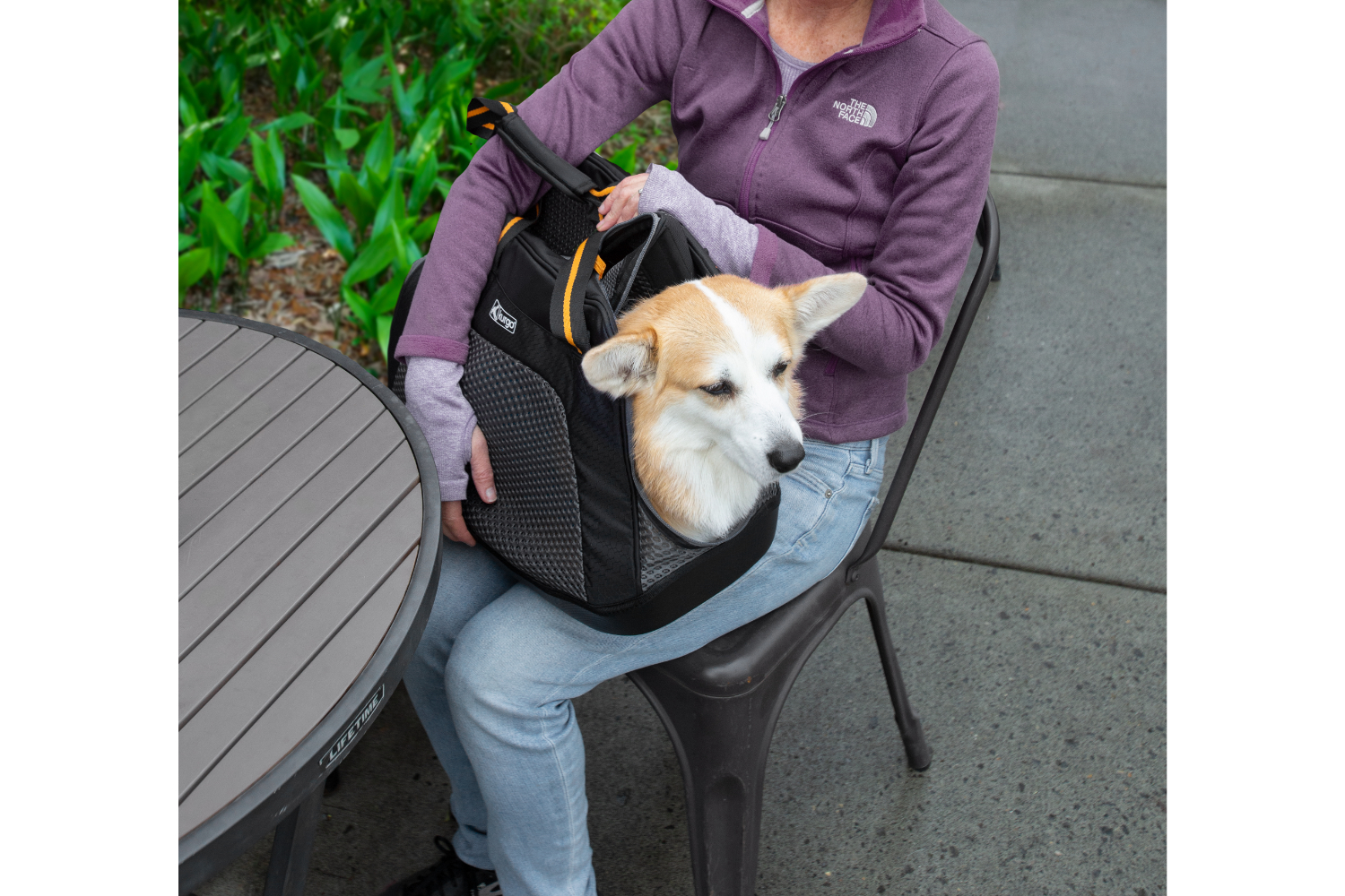 Kurgo KO8361 Explorer Carrier | Black | Large