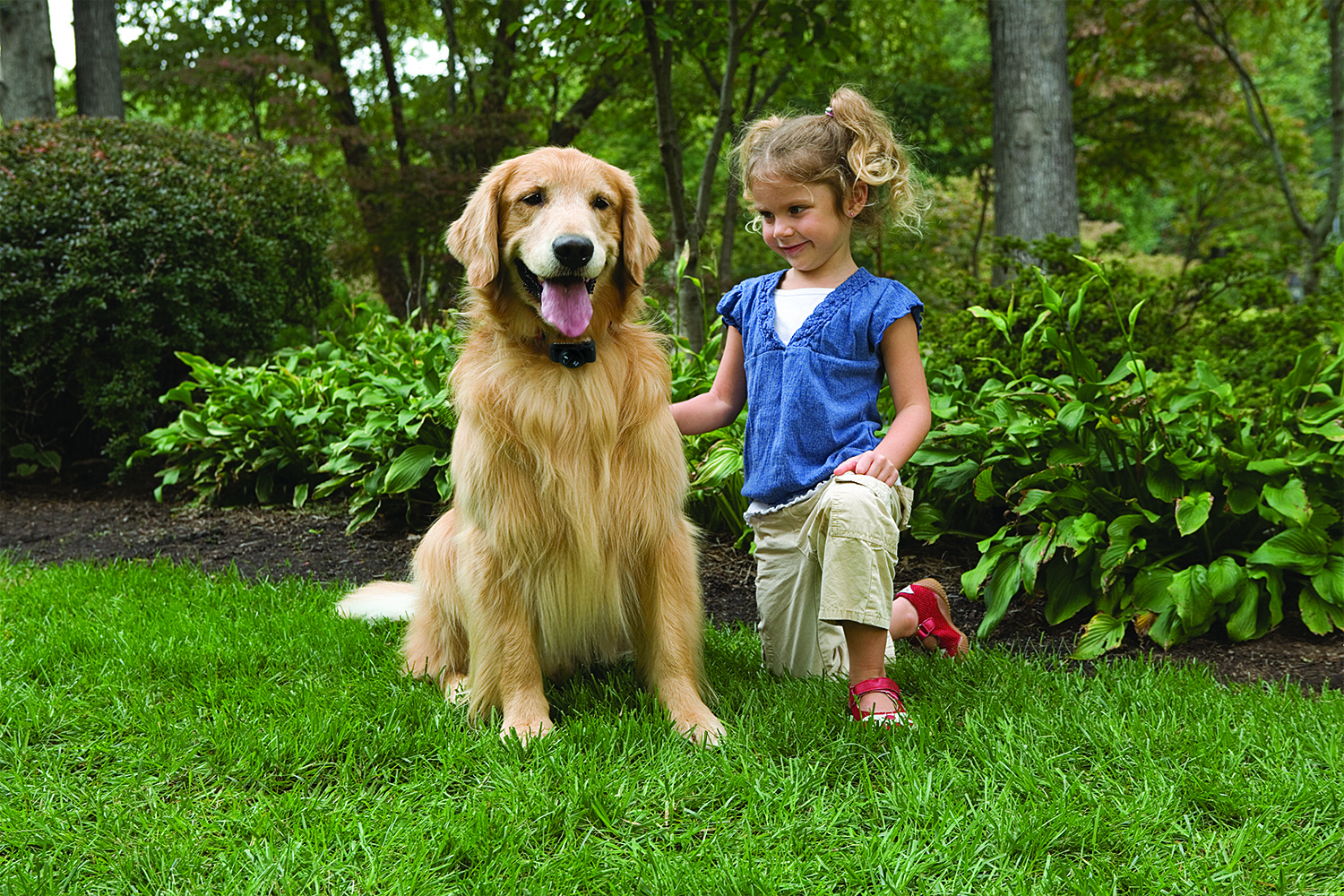 Petsafe PIG19-16412 Basic In-Ground Fence System