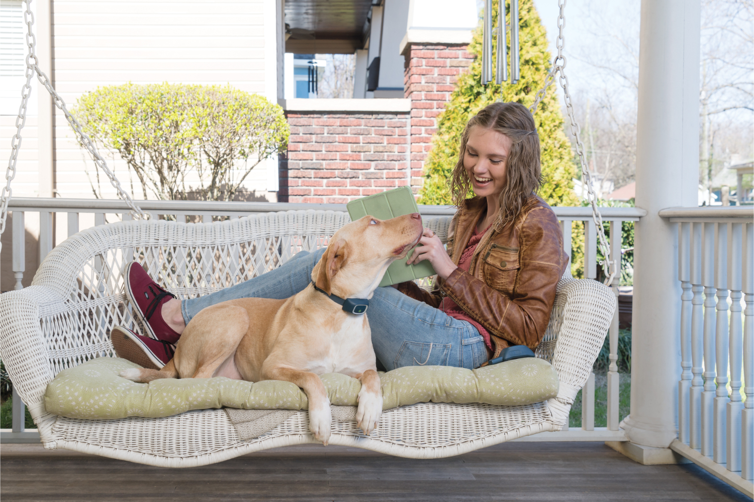 Petsafe PDT19-16119 300m Remote Trainer