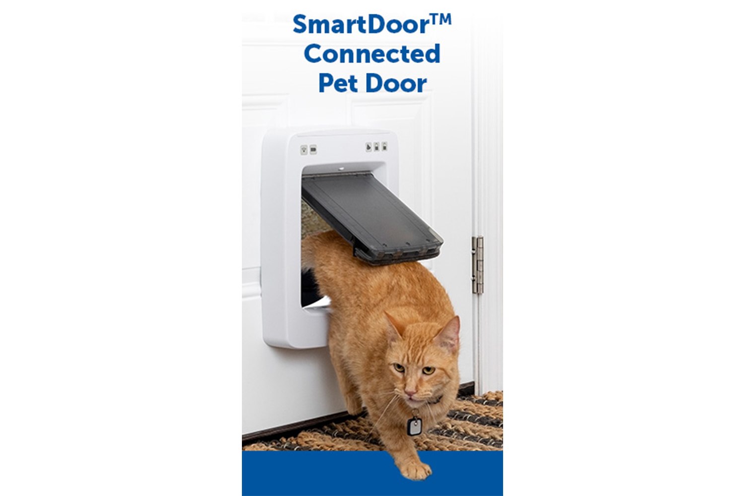 Petsafe PPA19-16145 Microchip Cat Flap