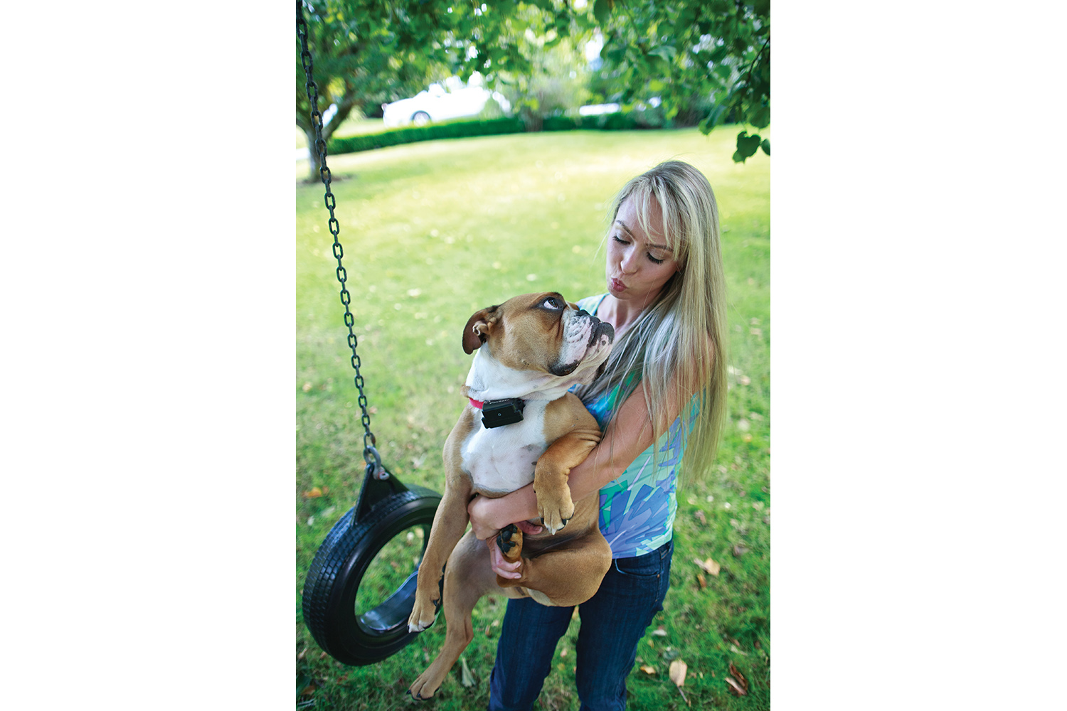 Petsafe PRF-3004XW-20 Radio Fence Super