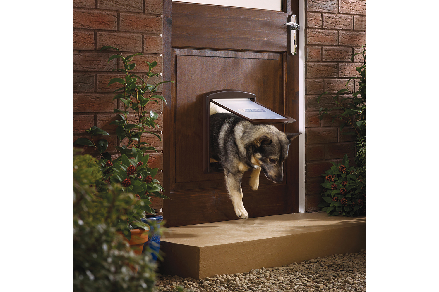 Petsafe 755EF Staywell Dog Door Brown | Medium