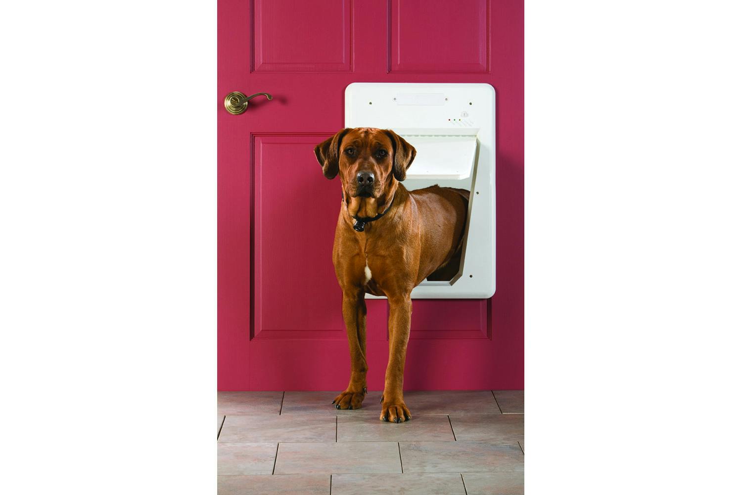 Petsafe PPA19-15791 Smartdoor Electronic Pet Door | Large