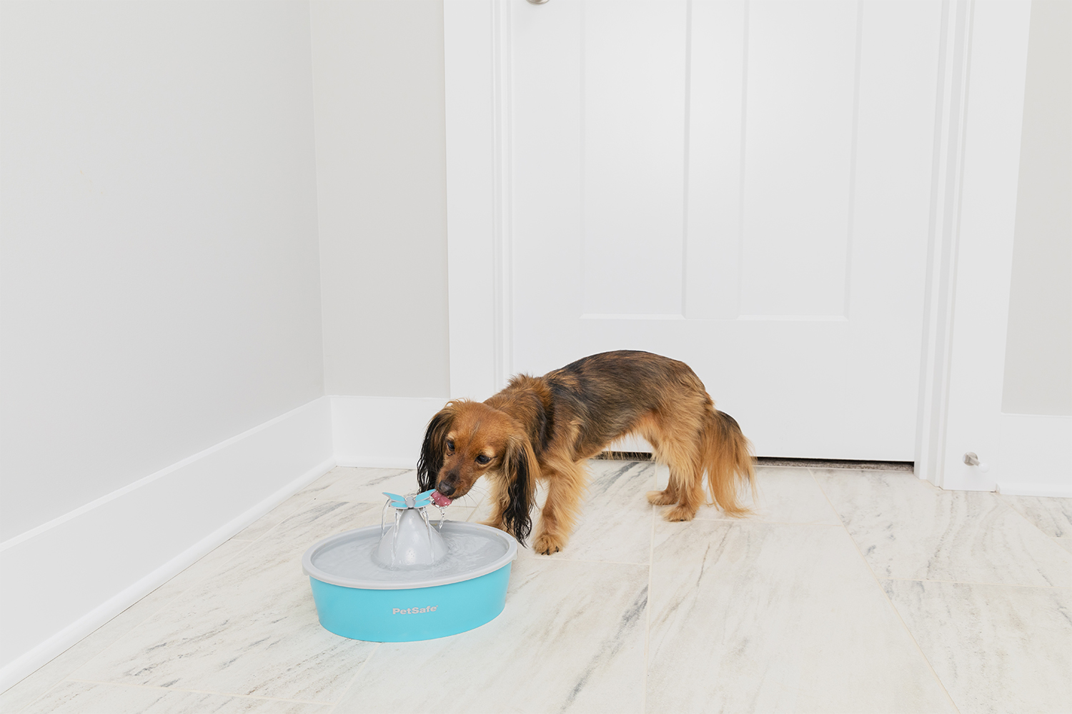 Petsafe PWW17-16930 Drinkwell Butterfly Pet Fountain | 1.5L