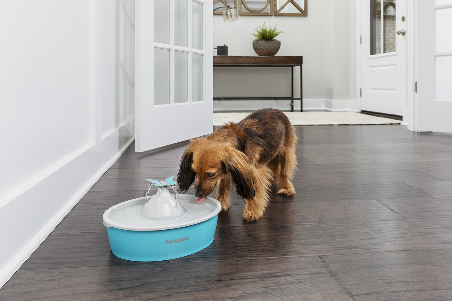 Petsafe PWW17-16930 Drinkwell Butterfly Pet Fountain | 1.5L