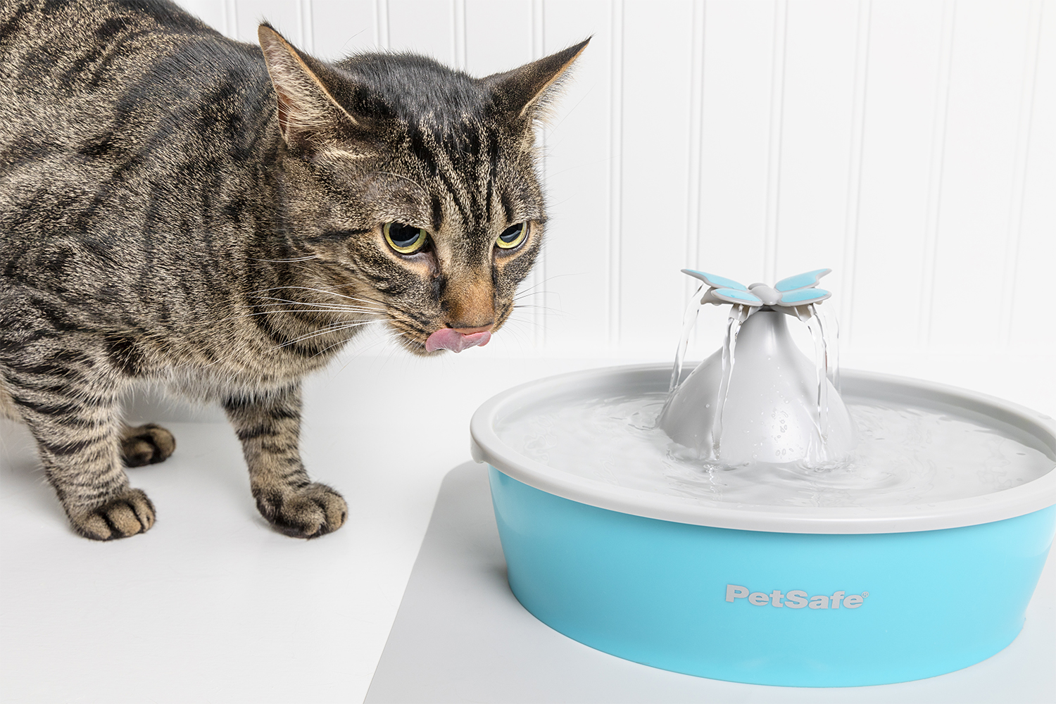 Petsafe PWW17-16930 Drinkwell Butterfly Pet Fountain | 1.5L