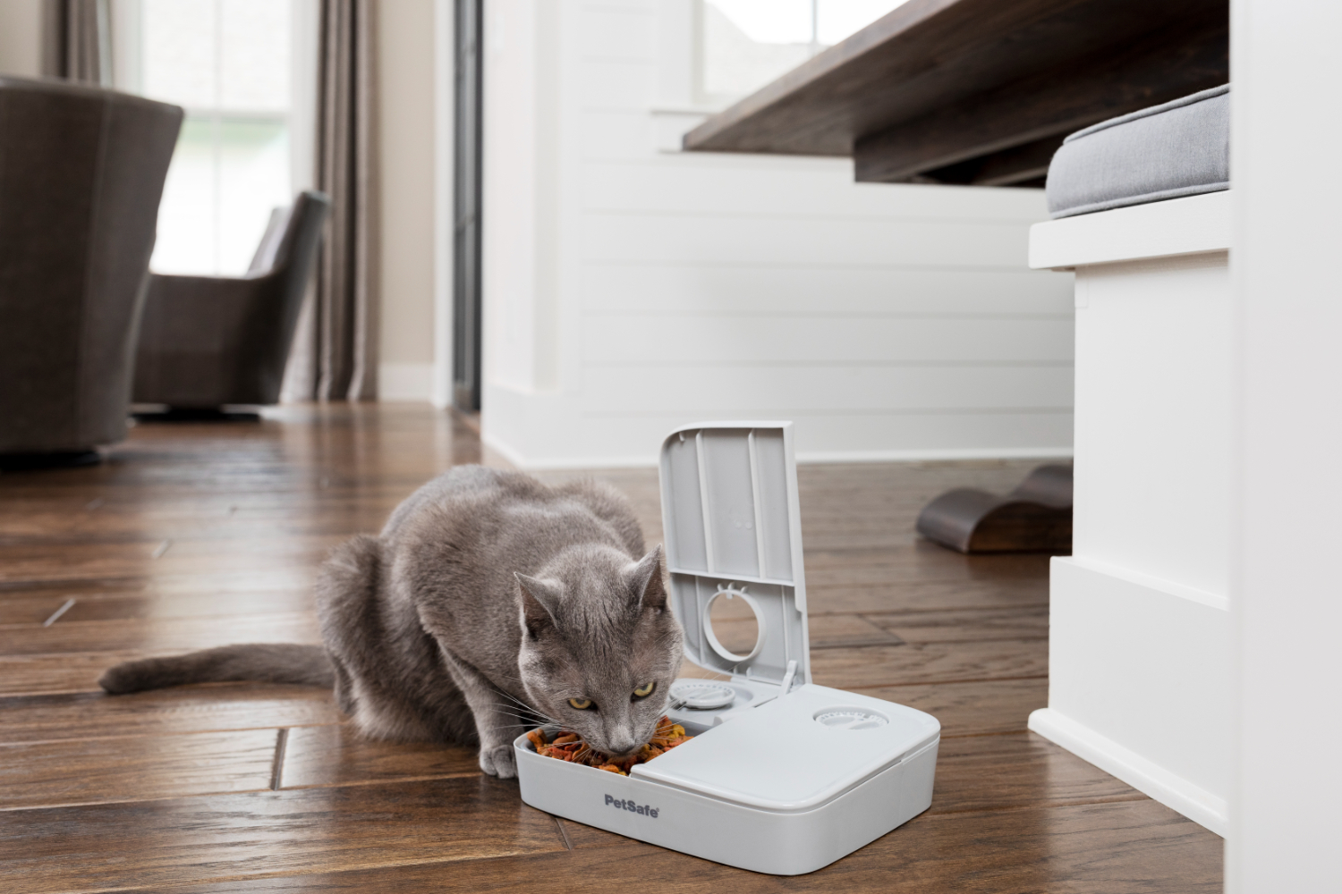 PetSafe PFD19-17005 Automatic 2 Meal Pet Feeder