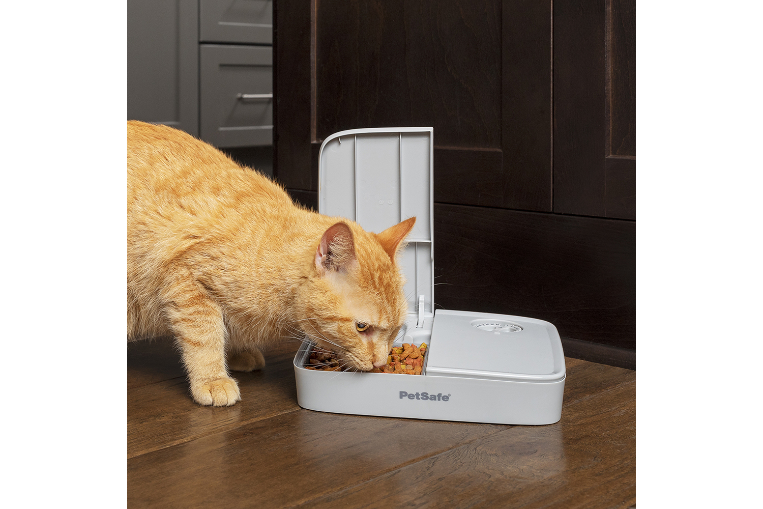 Automatic cat feeder clearance ireland