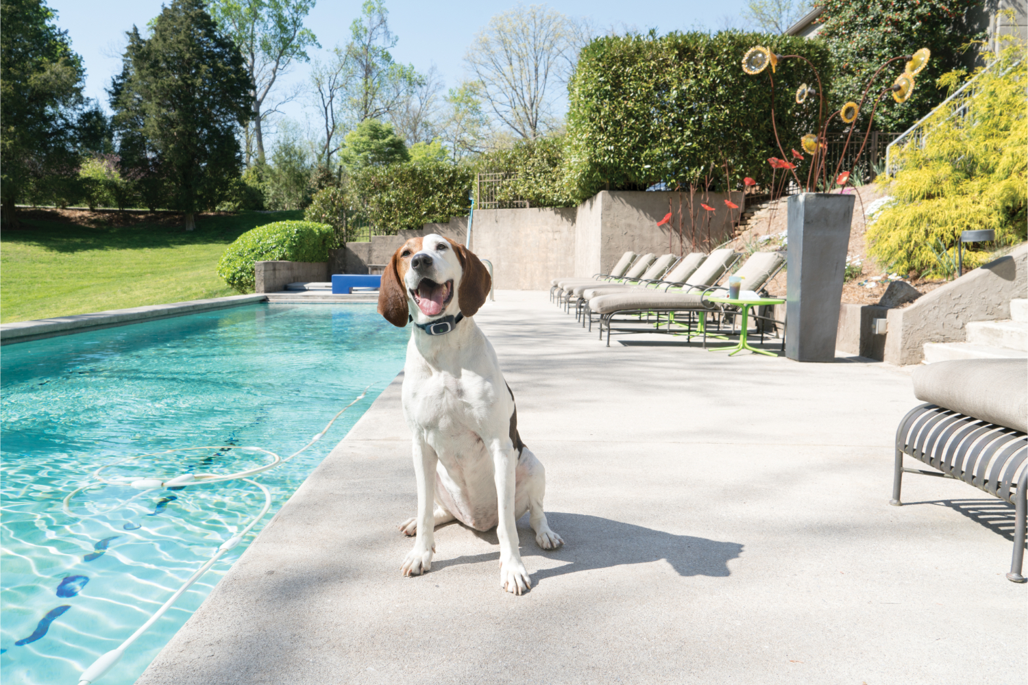 Petsafe PDT19-16122 600m Remote Trainer