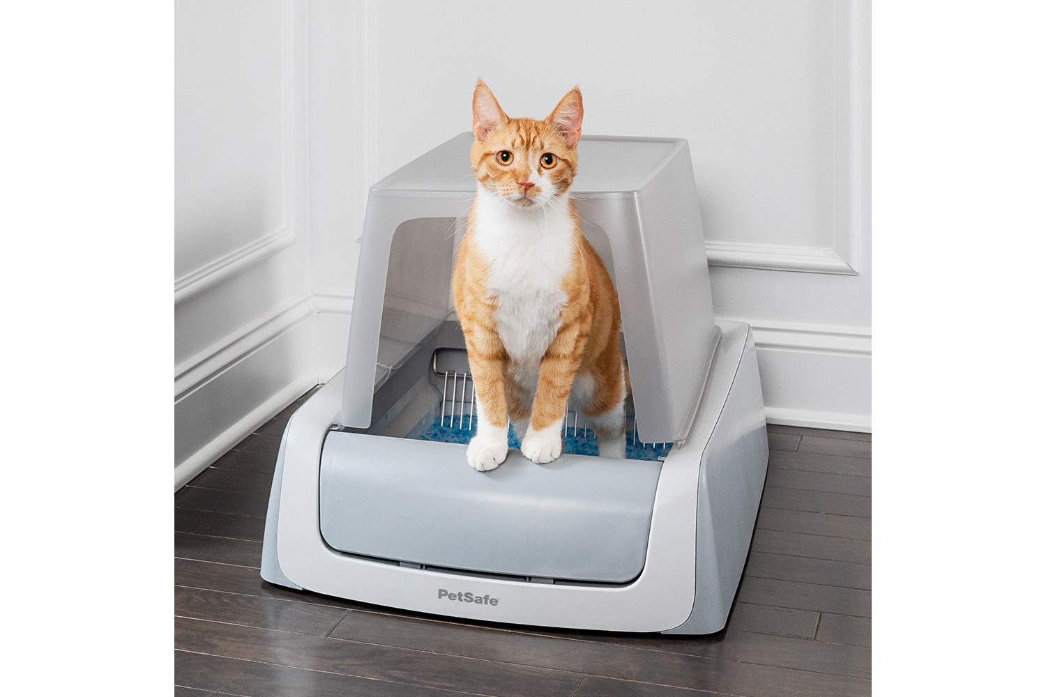 Petsafe PAC19-14264 Replacement Blue Crystal Litter Tray | Pack of 3