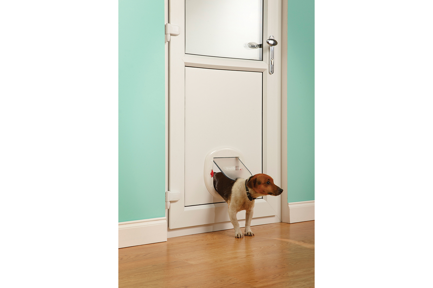 Petsafe 280EF Staywell Big Cat & Small Dog Pet Door Ireland