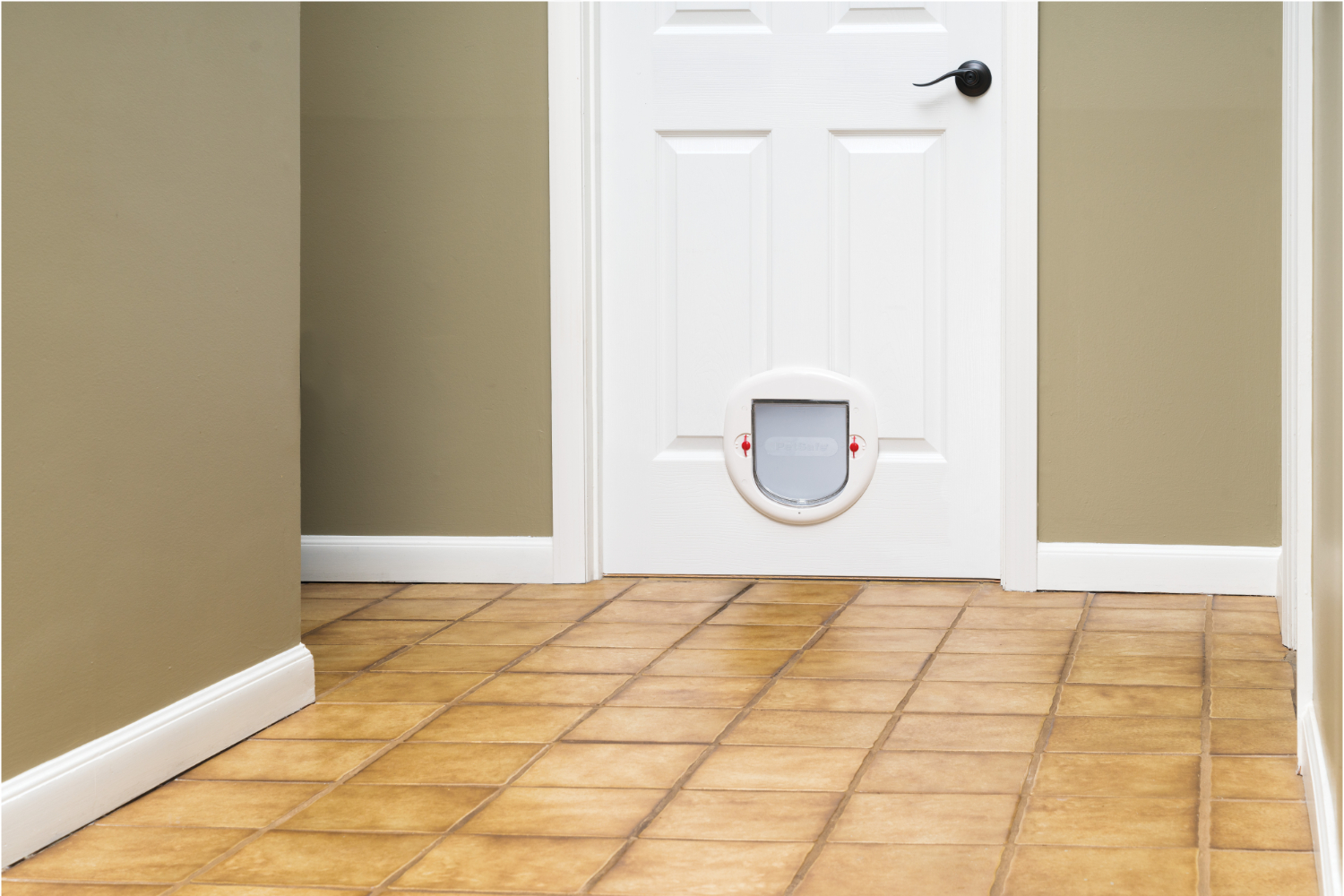 Petsafe 280EF Staywell Big Cat & Small Dog Pet Door Ireland