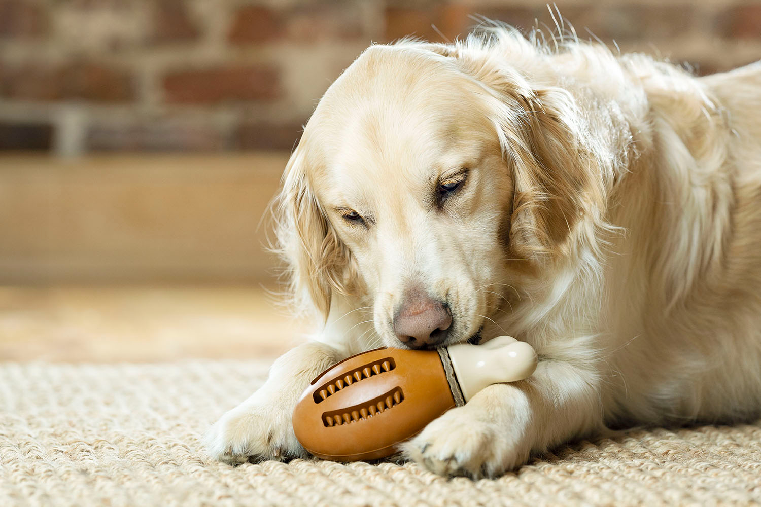 Petsafe BB-CHICKEN-SM-19 BusyBuddy Chompin’ Chicken Treat | Small/Medium