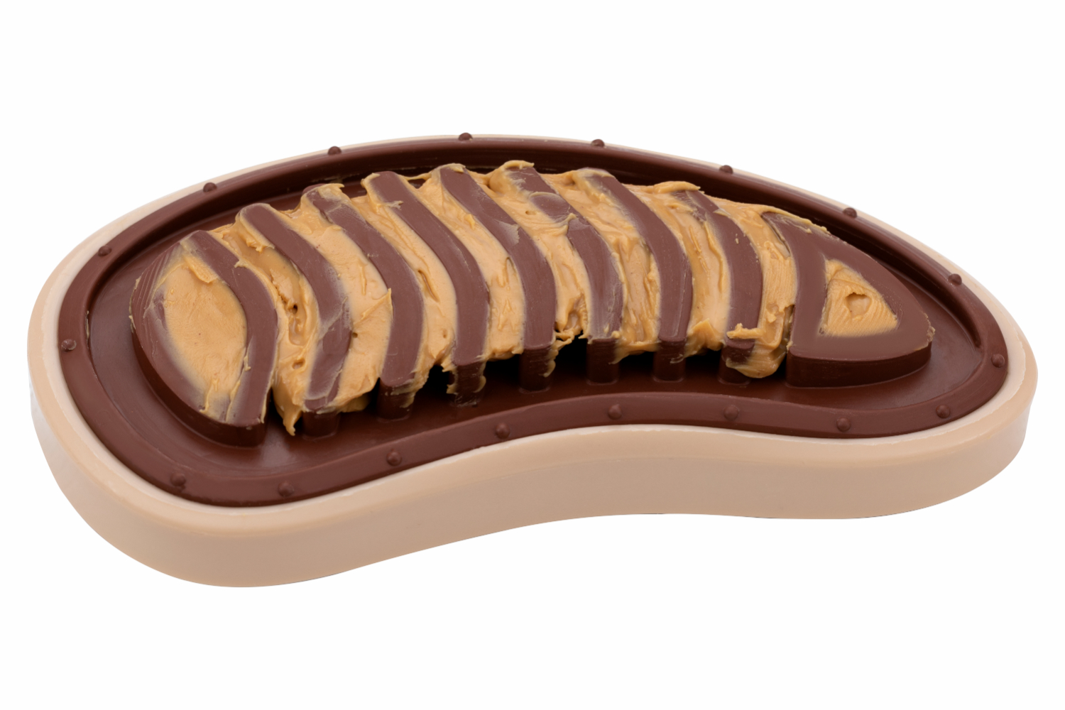 Petsafe BB-STEAK-SM-19 Busy Buddy Slab o’ Sirloin Treat Ring | Small/Medium