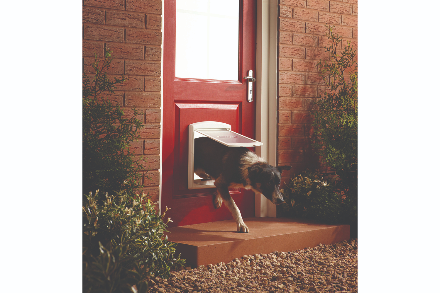 Petsafe 740EF Staywell Dog Door White Medium