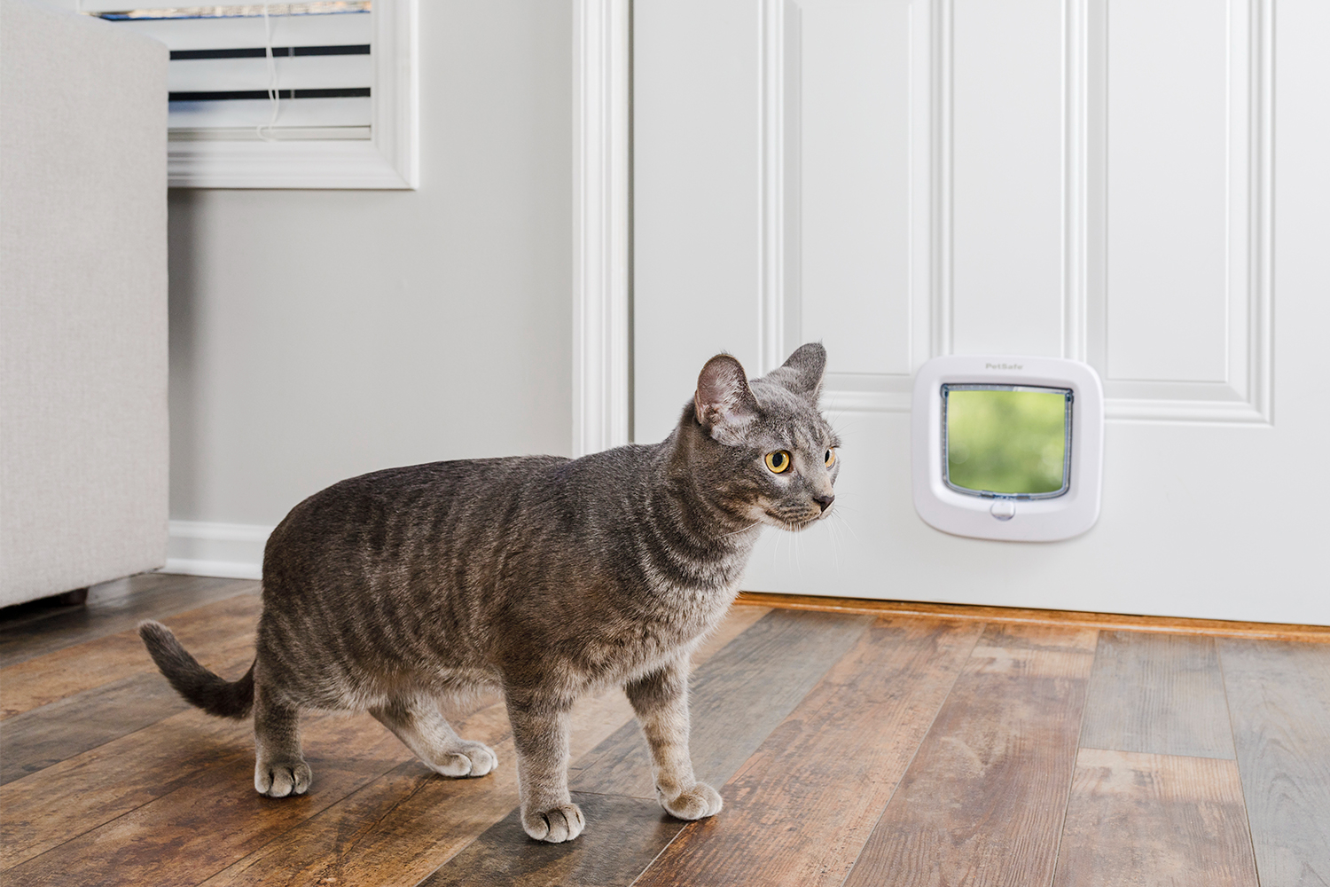 Staywell 19 cheap cat flap