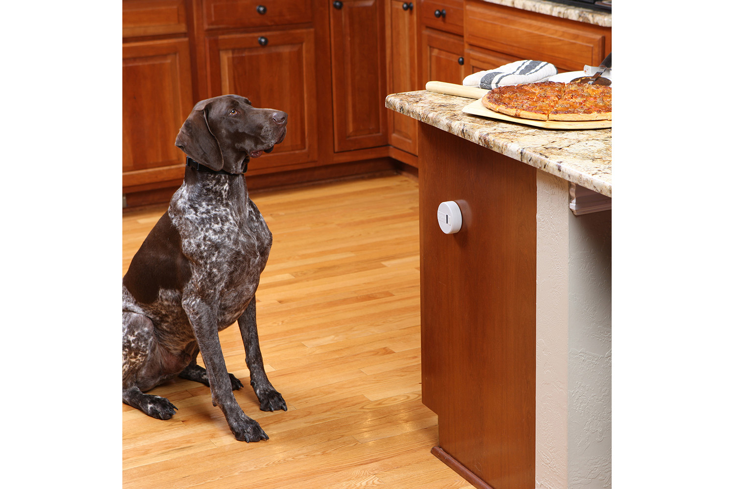 Petsafe PWF19-15854 Pawz Away Mini Pet Barrier