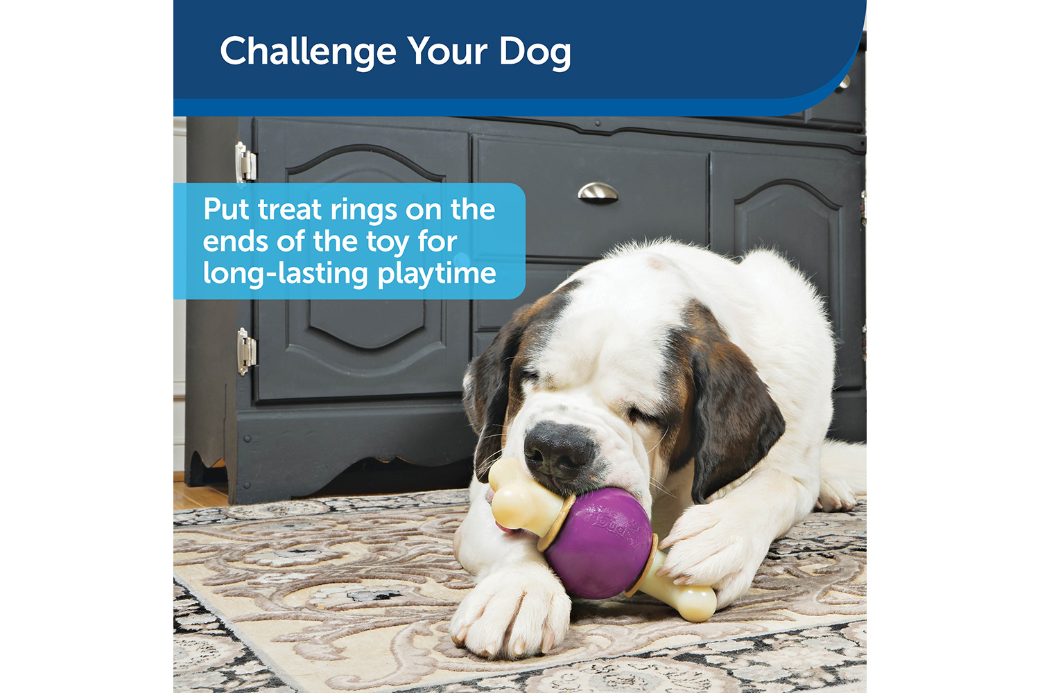 Petsafe BB-BCY-BN-S-11 Busy Buddy Bouncy Bone | Small