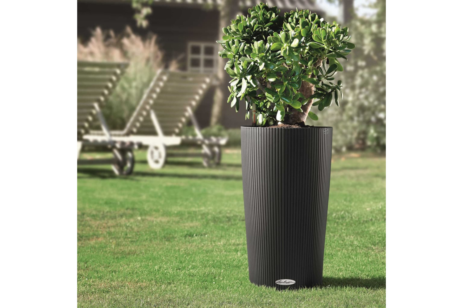 Lechuza 421452 Planter Cilindro Color 32 All-in-one Slate 13953