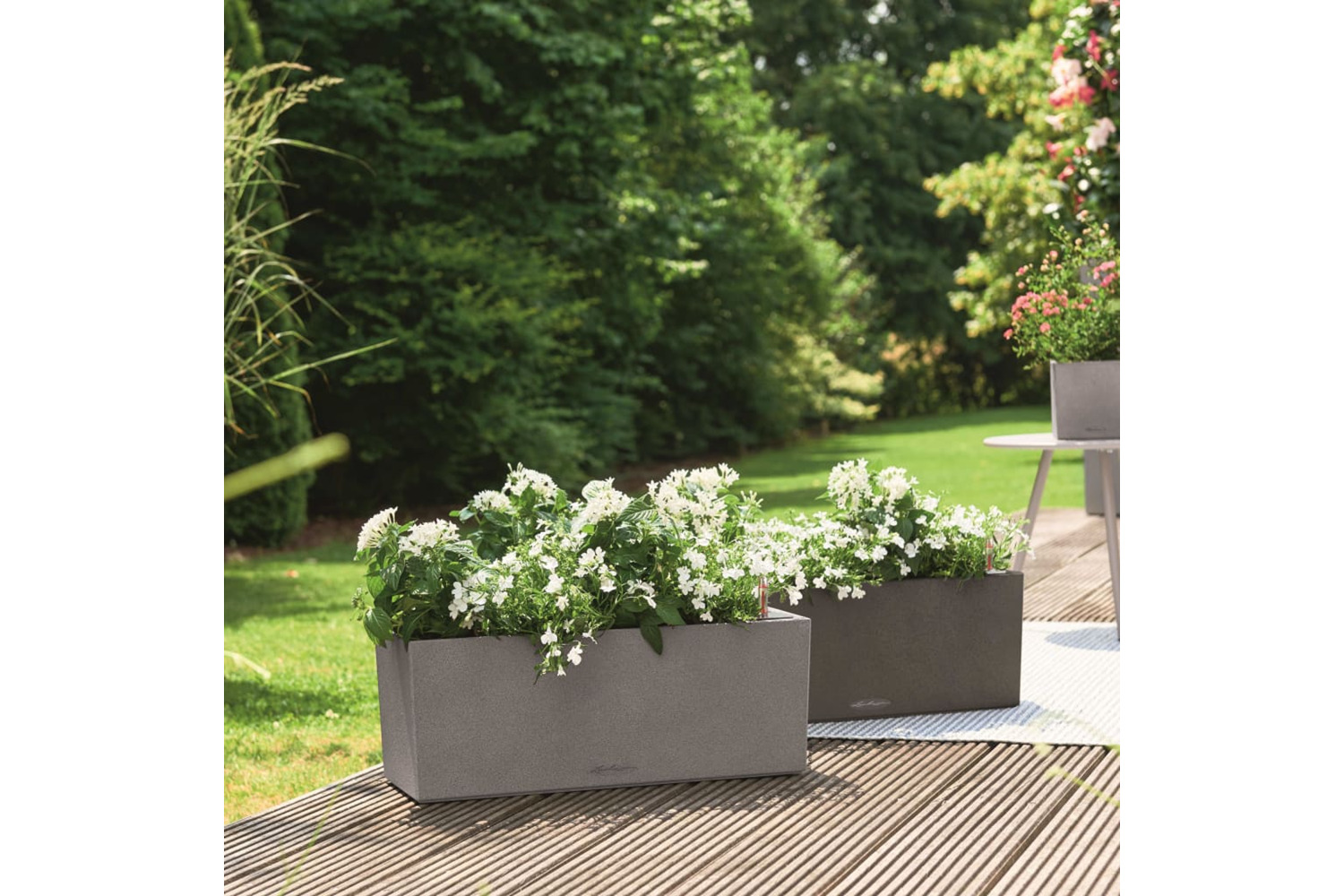 Lechuza Planter Balconera Stone 50 All-in-one Black