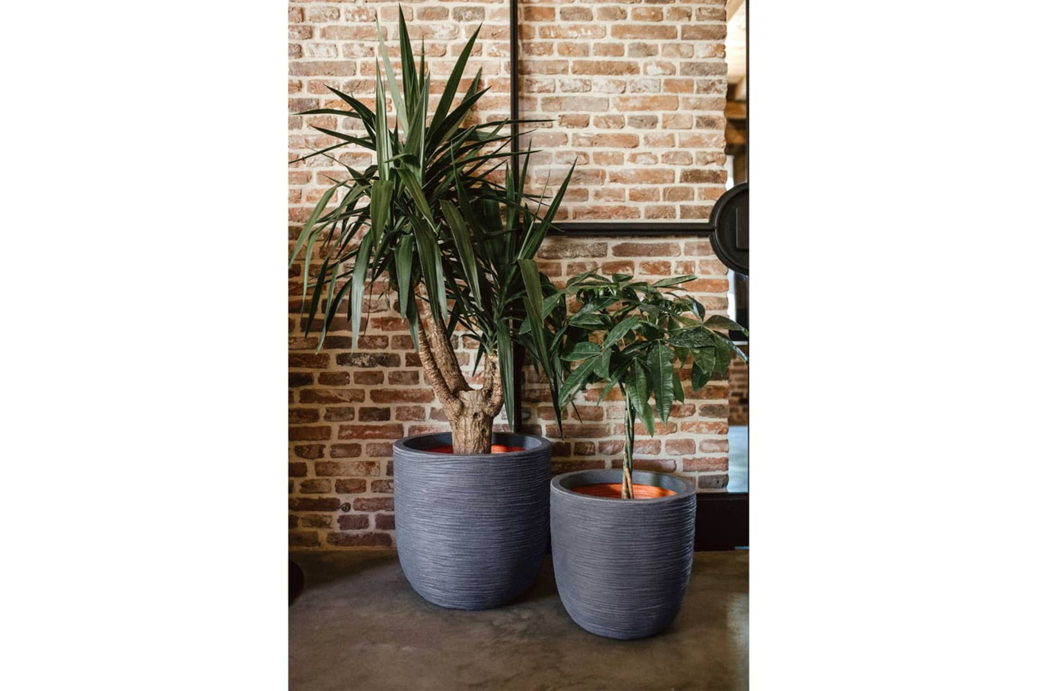 Capi 434853 Egg Planter "nature Rib" 43x41 Cm Dark Grey