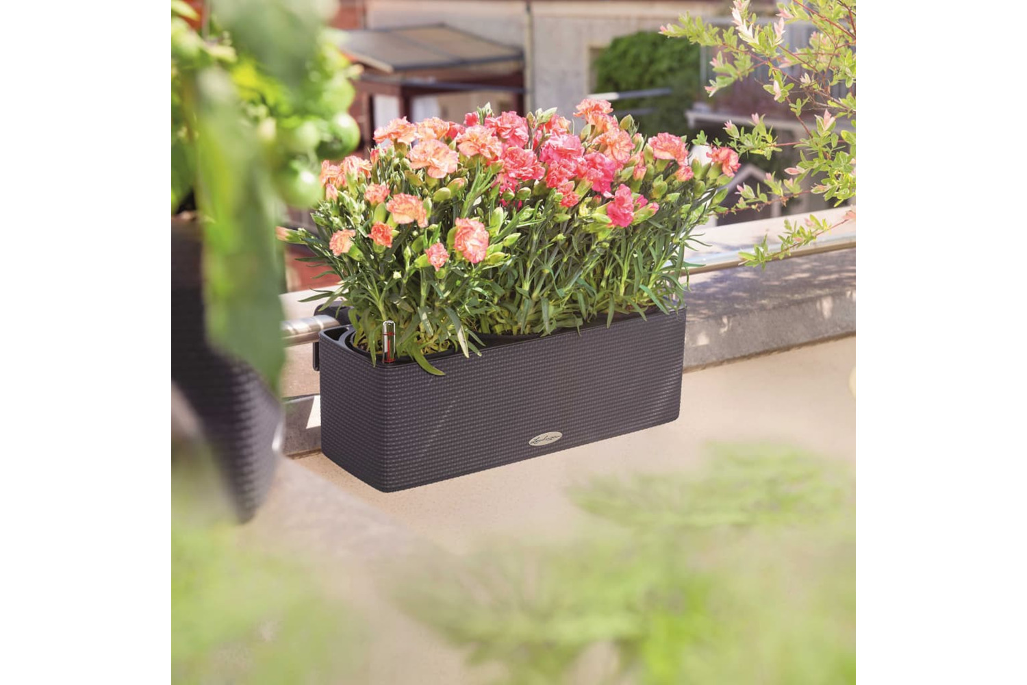 Lechuza 421440 Planter Cube Color Triple With Brackets Anthracite 13684