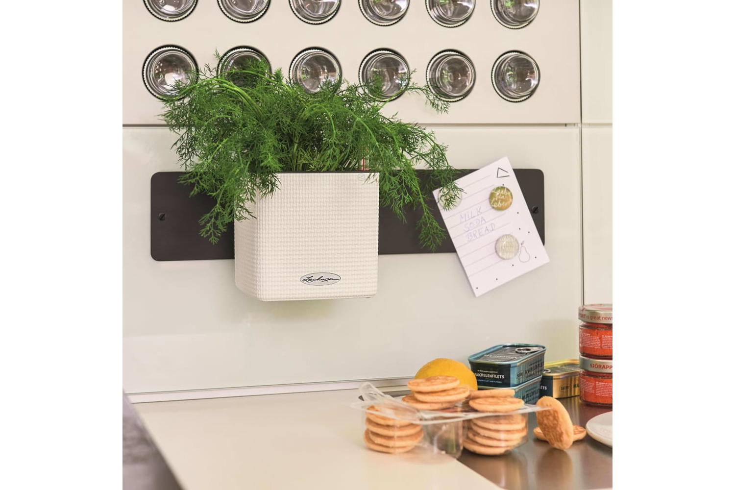 Lechuza 425619 Planters 3 Pcs Green Wall Home Kit White