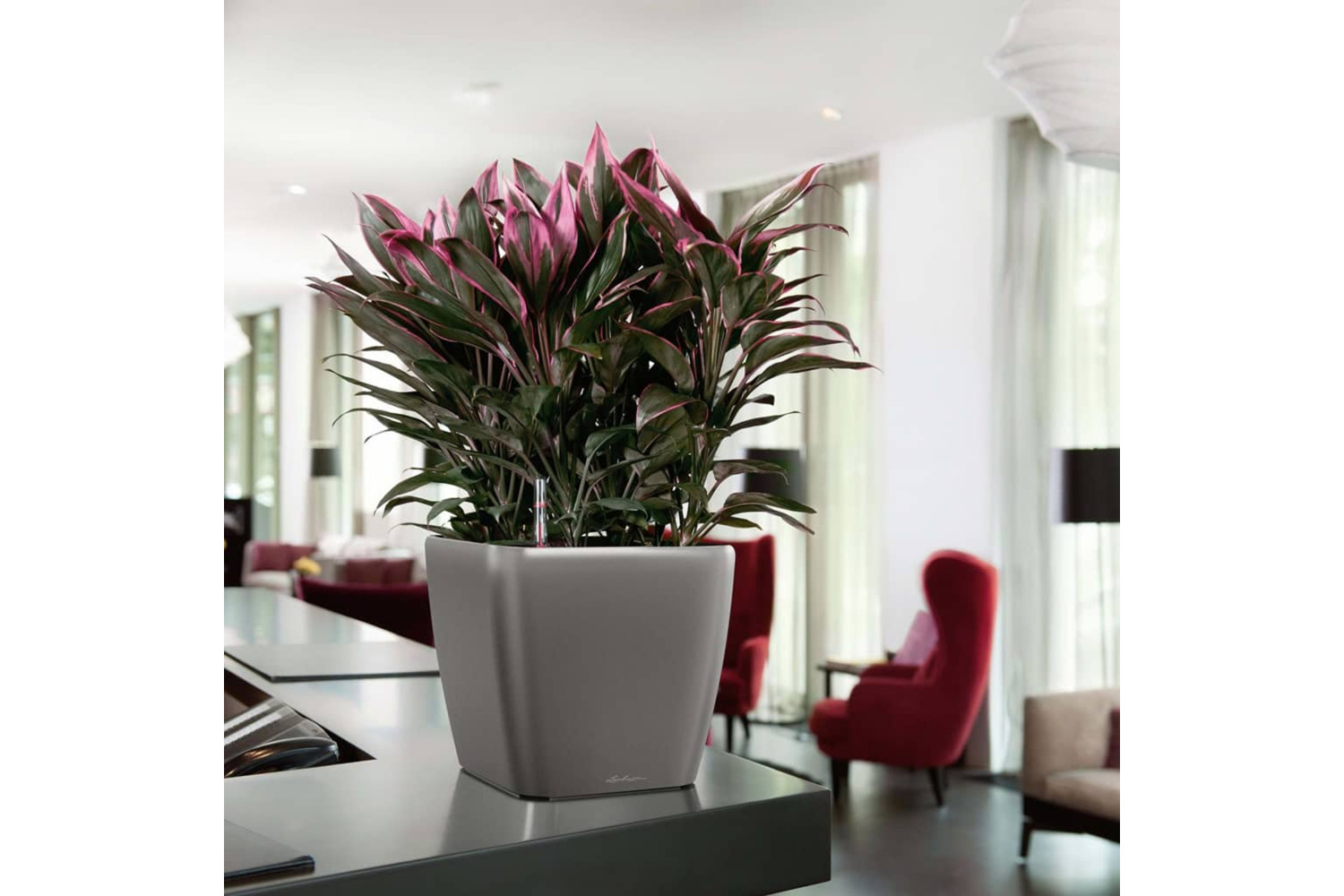 Lechuza 421482 Planter Quadro 43 Ls All-in-one Charcoal 16183