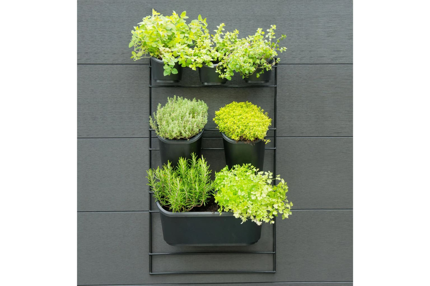 Nature 434650 Vertical Garden Wall Kit