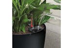 Lechuza 421438 Planter Classico Color 43 All-in-one Slate 13244