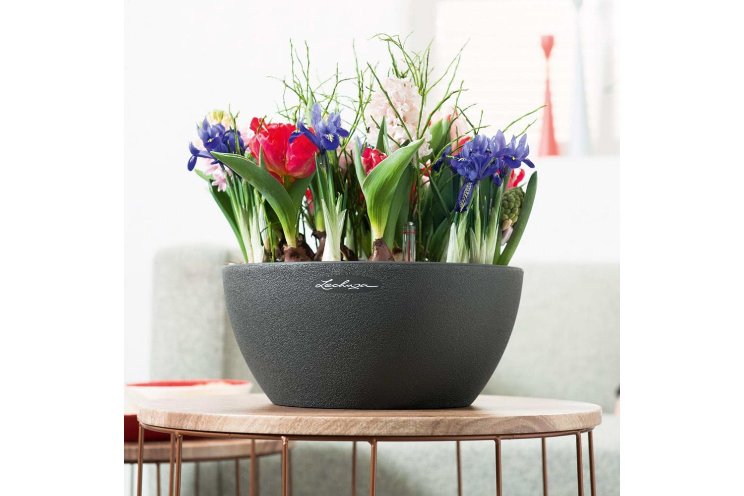 Lechuza 421447 Planter Cubeto Color 30 All-in-one Graphite Black 13832