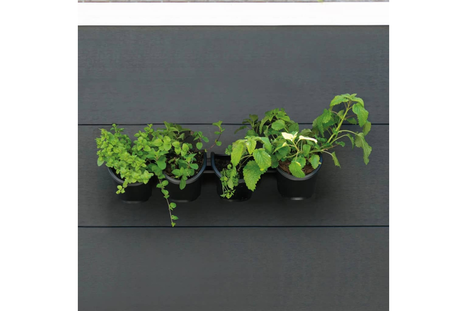Nature 434648 Vertical Garden/herb And Flower Kit