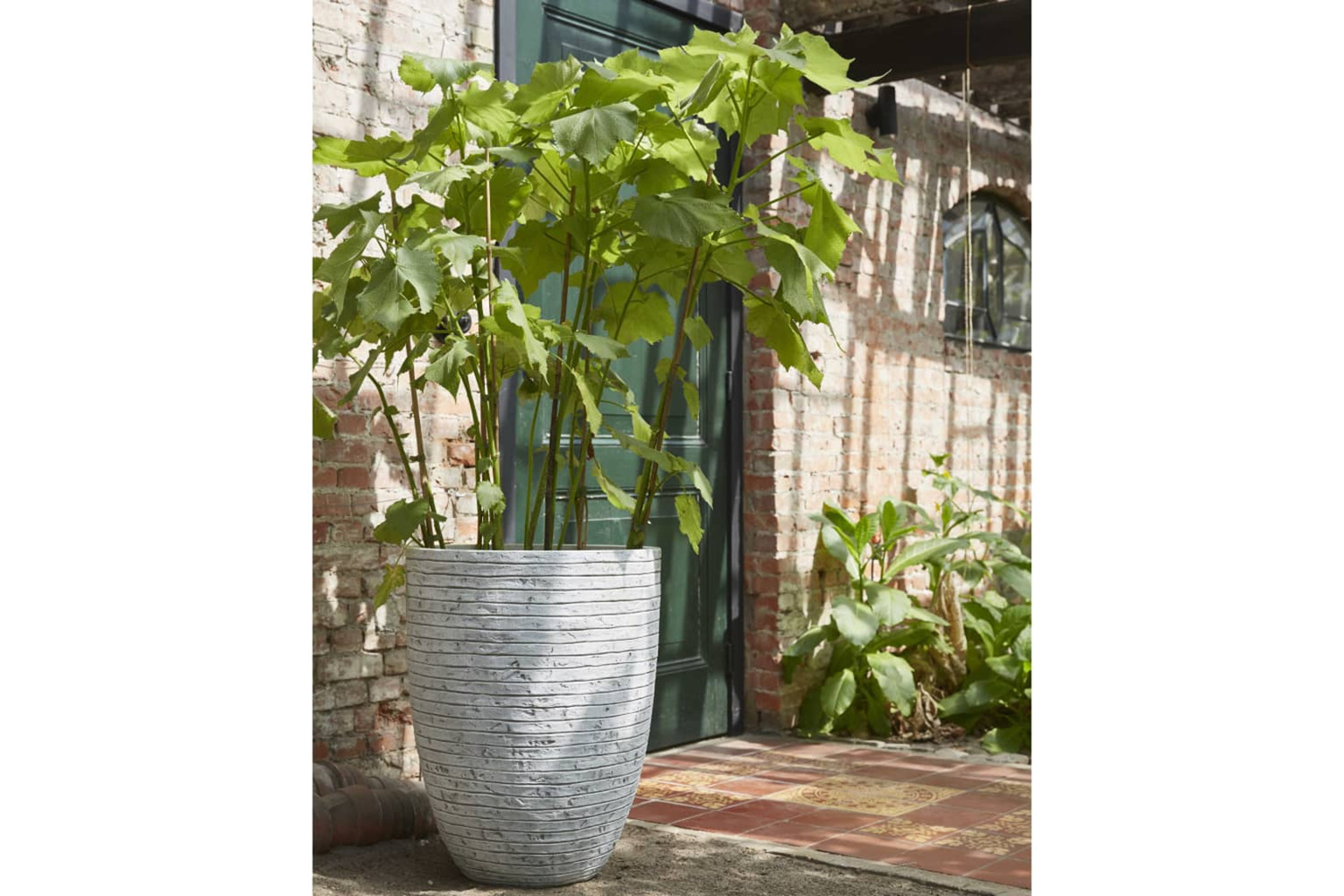 Capi 424277 Vase Nature Row Elegant Low 46x58 Cm Ivory Krwi783