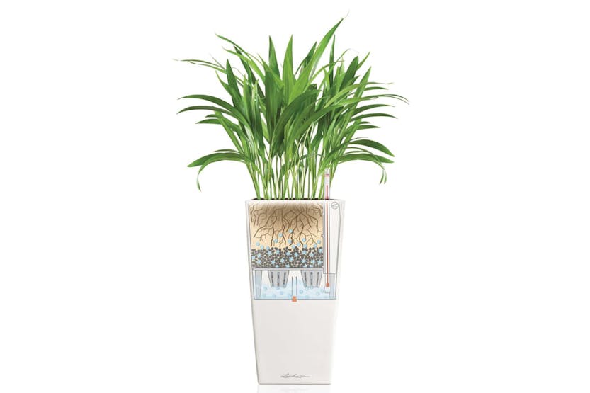 Lechuza 421424 Planter Cubico Color 30 All-in-one White 13130
