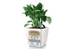 Lechuza 421478 Planter Quadro 35 Ls All-in-one High-gloss White 16160