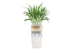 Lechuza 421487 Planter Cubico 30 All-in-one High-gloss White 18181