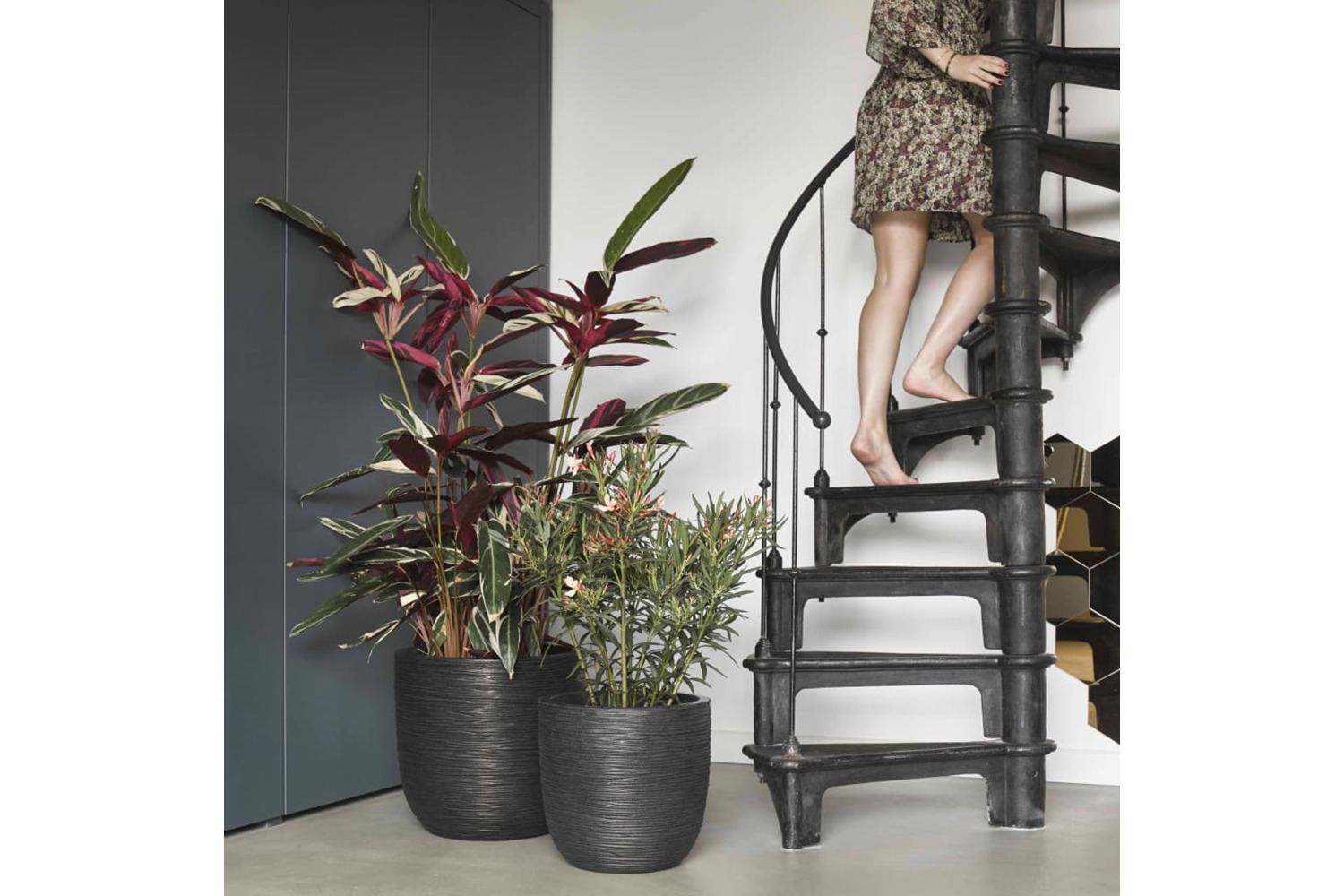 Capi 424234 Egg Planter Nature Rib 43x41 Cm Black Kblr933